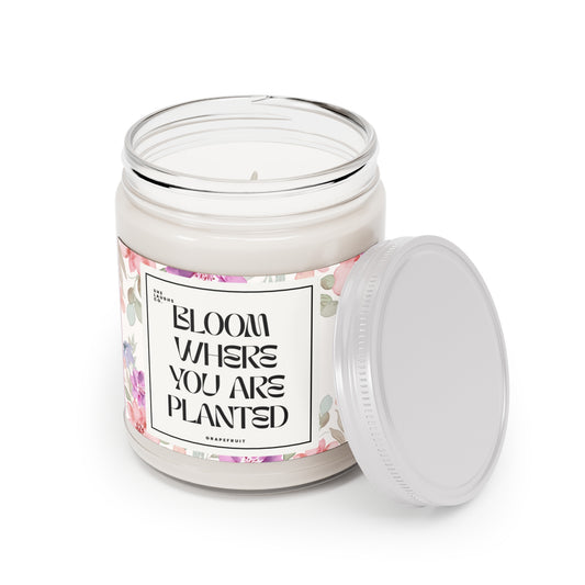 Bloom Where You Are Planted- Grapefruit Scented