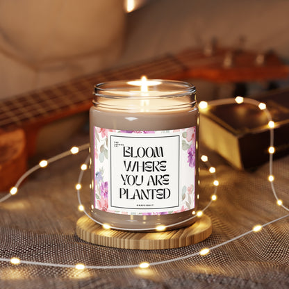 Bloom Where You Are Planted- Grapefruit Scented